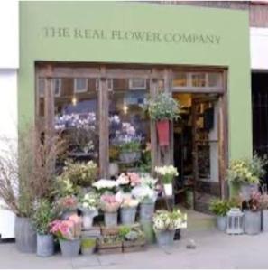 Rare find, beautiful home on Chelsea Green