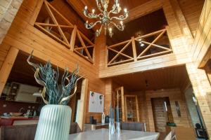 Σαλέ κοντά την Νάουσα