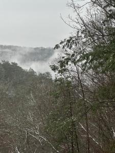 Love Nest in Blue Ridge