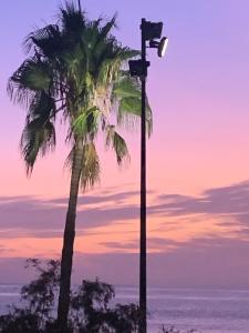 Estudio, first line de la playa Prime location