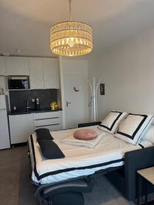 Appartements La Lumiere du Coeur : photos des chambres