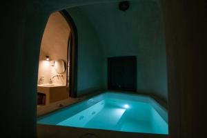 Pano Meria Cave House One in Oia