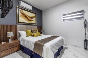 Suite premium en el centro de Zapotlanejo 305
