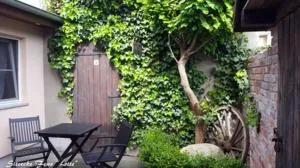 Ferienwohnungen _ Haus Lisa_ - Niemtsch