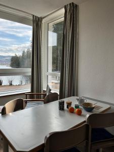 Appart'hotels Appart'Hotel LIDO au bord de l'eau : Studio - Accessible aux Personnes à Mobilité Réduite 