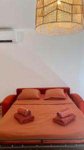 Villa roche blanche 2