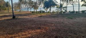 Koh chang honeymoon beach resort