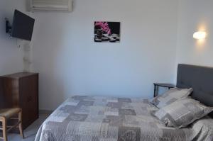 Appartement studio 4 couchages SAINT CYPRIEN SC610-011