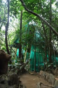 Bamboo Cabana Adams Peak
