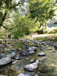 Domaine du vieux tilleul- Appartements - Gorges Tarn et Jonte : photos des chambres
