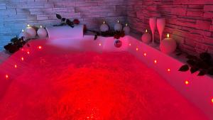 Appartements Loft sauna balneotherapie : photos des chambres