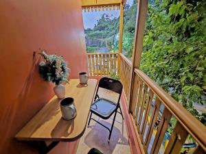 Sea Gadabout - Back Packers