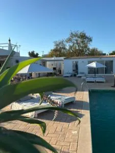 Quinta das Oliveiras - Pechão