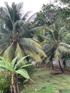 andantevil