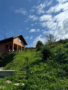 Садиба Сімейний Затишок