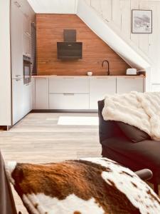 Maisons de vacances Chez Madeleine, Entre le Lioran et Vic-sur-Cere : photos des chambres