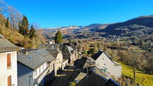 Maisons de vacances Chez Madeleine, Entre le Lioran et Vic-sur-Cere : photos des chambres