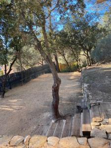 Campings Bungalow cosy varois avec piscine soleil calme et nature : photos des chambres