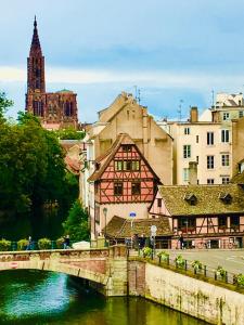 Appartements Cosy apartment on Strasbourg tramway line : photos des chambres