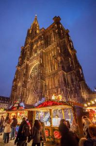 Appartements Cosy apartment on Strasbourg tramway line : photos des chambres