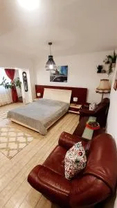 Casa Nicolae - Vărsătura