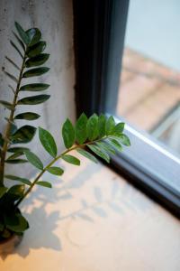 Charming Blue Apartment
