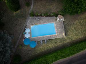 Maisons de vacances Mas - 12 pers - Piscine - Grand Jardin Arbore : photos des chambres
