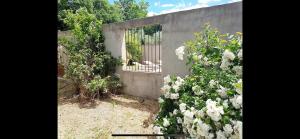 Appartements CHEZ BABOU studio d-artistes avec piscine, parking : photos des chambres