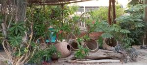 Departamento 6p Tierra del Sol Eterno - Ica centro