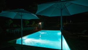 Maisons de vacances Mas - 12 pers - Piscine - Grand Jardin Arbore : photos des chambres