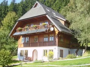 Am Neuhausbauernhof - 黑林山区克尼格斯费尔德