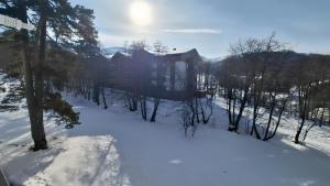 Bakuriani Green Valley Cozy Apartment