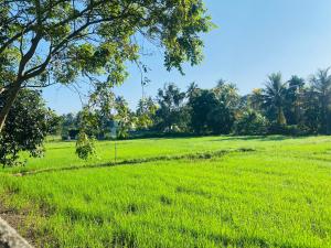 Premium Cottages B&B