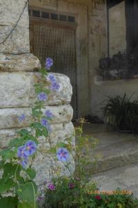 B&B / Chambres d'hotes Ferme de Laspeyrieres : photos des chambres