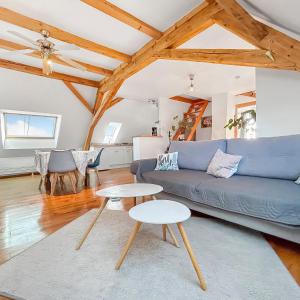 Appartements Charming T2 Close to Zenith : photos des chambres