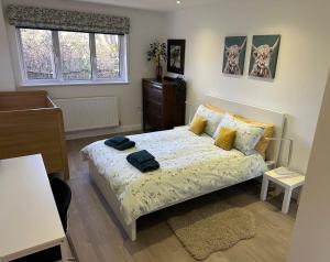 Modern Self-Contained 3 Bedroom Bungalow