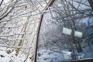 Tiny House Pioneer 7 - Green Tiny Village Harz