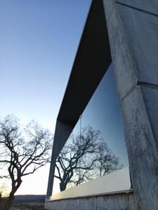 Pachán Dehesa Boyal