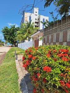 ACasa Diamante Camboinha