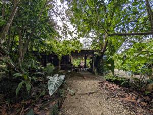 Hotel La Gamba Rainforest Lodge