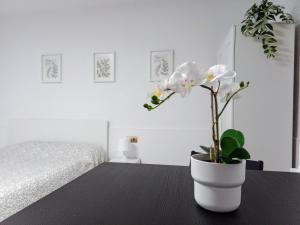 Hermoso Estudio Centro de Malaga - Hoteles de 4 estrellas en Málaga