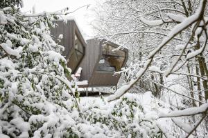 Sleep Space 23 - Green Tiny Village Harz