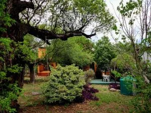 Espacio de Paz - Ongamira