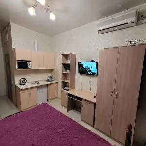 Квартира- студия возле метро Академика Павлова - Velikaya Danilovka