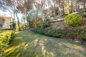 DS-2 Calella de Palafrugell 4 PAX