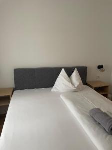 Single Room room in Haus Alpenland
