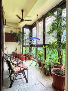 Pearl of Nature By Nyra