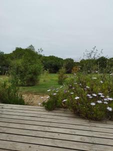 Cabaña playera con hermoso jardin a pasos de la playa