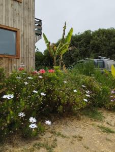 Cabaña playera con hermoso jardin a pasos de la playa