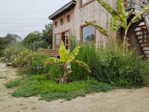 Cabaña playera con hermoso jardin a pasos de la playa